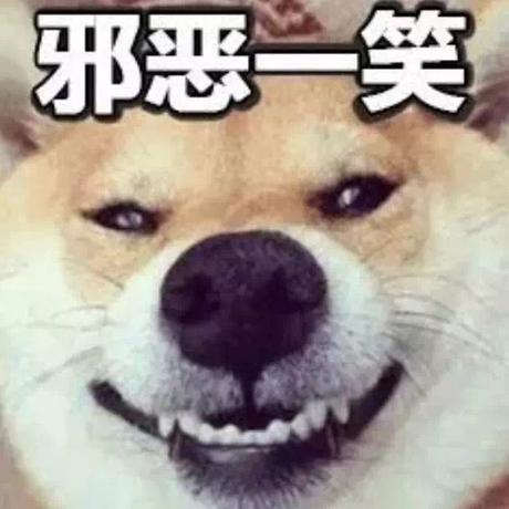 Natchi于2019-09-05 12:23发布的图片