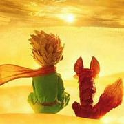 阿鹏啊的个人资料头像