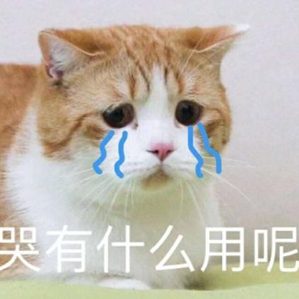 Landers于2019-09-06 23:27发布的图片