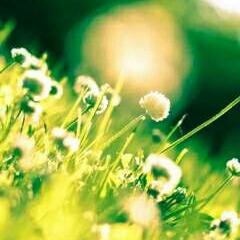 我爱周杰伦耶于2019-09-07 09:02发布的图片