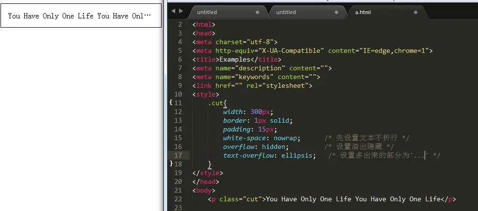 设置溢出文本样式
