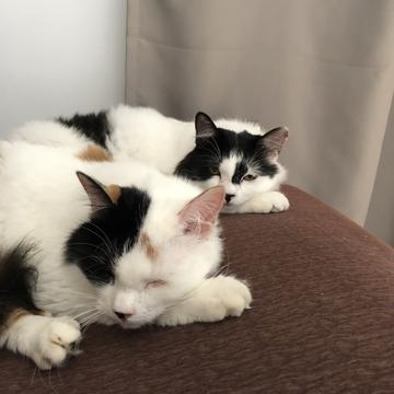 Natchi于2019-09-08 11:26发布的图片