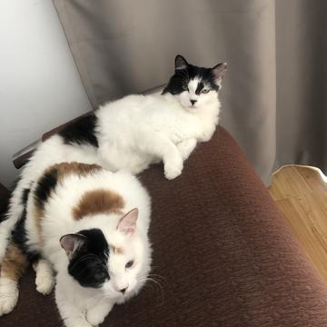 Natchi于2019-09-08 11:26发布的图片