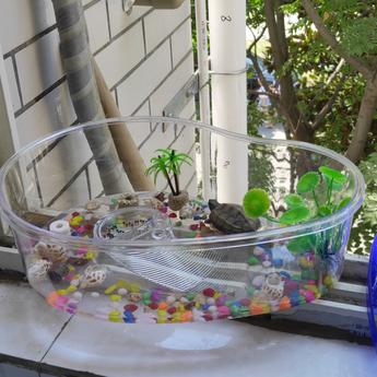 已注销于2019-09-08 11:55发布的图片