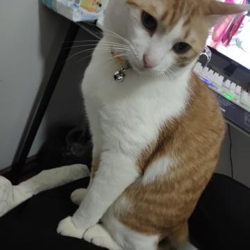 冶寒天于2019-09-08 19:45发布的图片