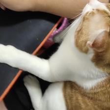 冶寒天于2019-09-08 19:45发布的图片
