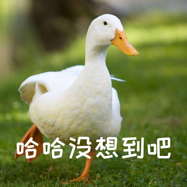 哪吒壁纸来袭,教你不用PS也能制作哪吒1080P超清壁纸,你不看看