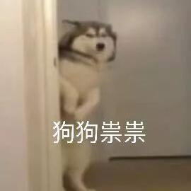 Crud于2019-09-09 15:29发布的图片
