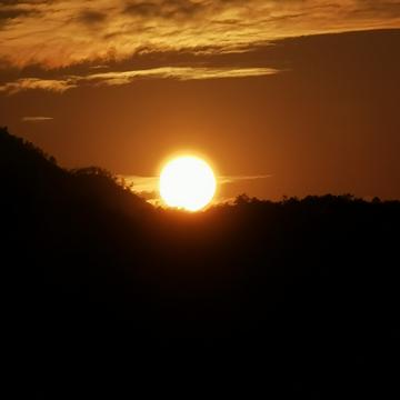 恋猫de小郭于2020-01-01 10:56发布的图片