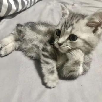 Kian于2020-01-10 13:13发布的图片