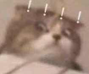 把饼干踩碎的个人资料头像