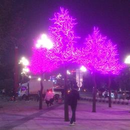 林御风于2020-01-11 10:15发布的图片