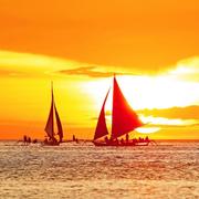 AllureFlower的个人资料头像