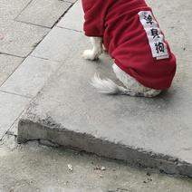 a阿大a于2020-01-12 14:29发布的图片