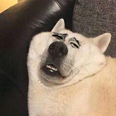 惊呆的小伙于2020-01-12 15:15发布的图片