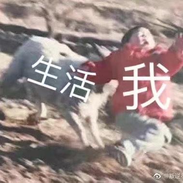 kamiro于2020-01-12 15:43发布的图片