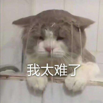 神奇的程序员于2020-01-12 20:57发布的图片
