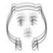 jierjier的个人资料头像