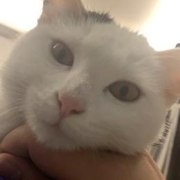 老衲来化缘于2020-01-13 09:01发布的图片