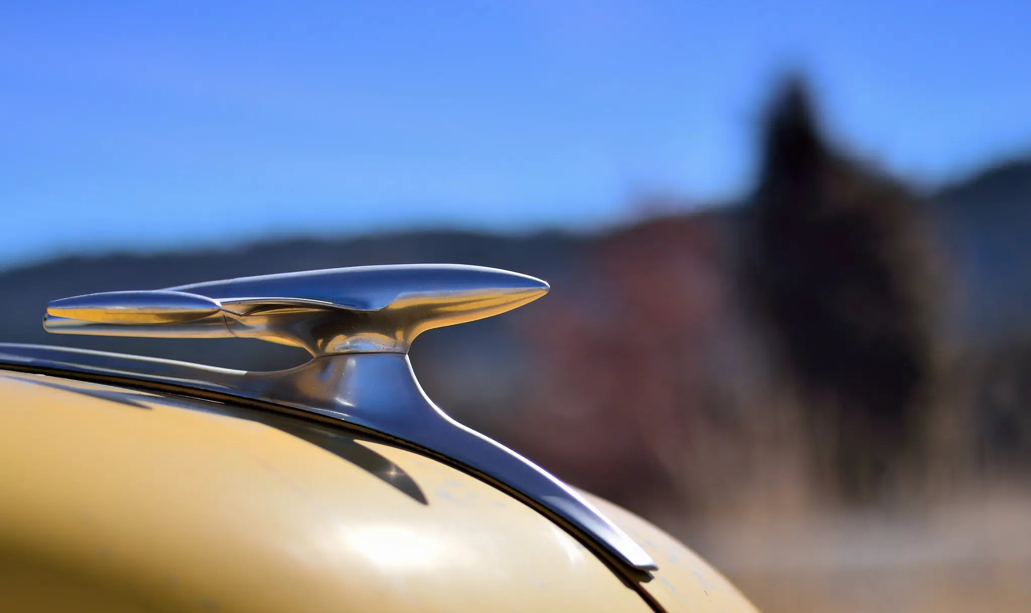 图片来自于Darron Birgenheier