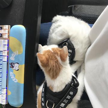 乔3D于2020-01-14 10:20发布的图片