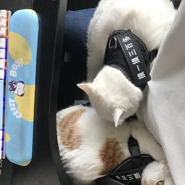 乔3D于2020-01-14 10:20发布的图片