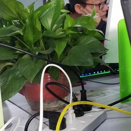 ARTHUR君于2020-01-14 11:34发布的图片