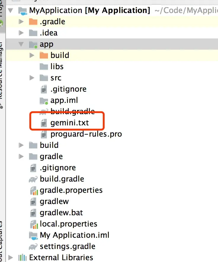 需要打入包内的文件