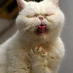 北京炒家于2020-01-15 10:02发布的图片