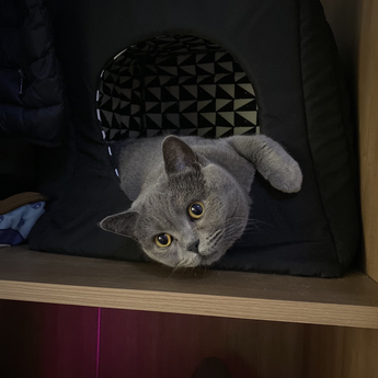 hyz7st于2020-01-15 10:26发布的图片