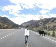 不会搬码农的不是好砖的个人资料头像