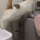 Kaleldo于2020-01-15 15:59发布的图片