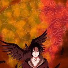 酷酷的老王于2020-01-15 23:01发布的图片