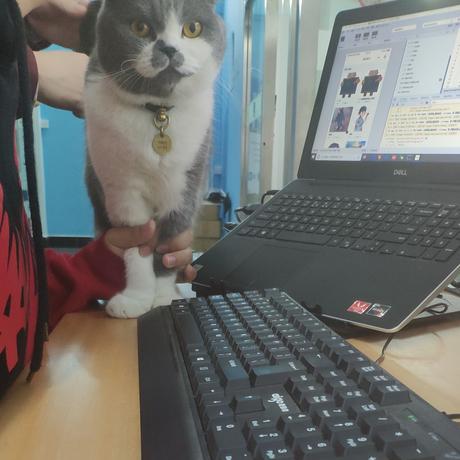 _MAT_于2020-01-16 05:48发布的图片