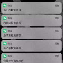 光头像于2020-01-16 16:35发布的图片