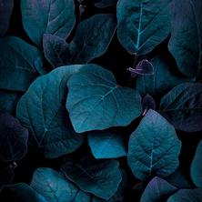 光头像于2020-01-16 16:35发布的图片