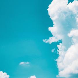 光头像于2020-01-16 16:35发布的图片