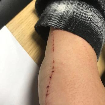 白藏于2020-01-17 09:13发布的图片