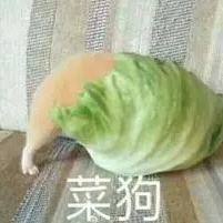 _西兰花于2020-01-17 14:14发布的图片