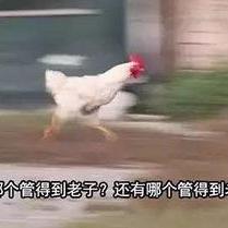 jwei921118于2020-01-17 17:35发布的图片