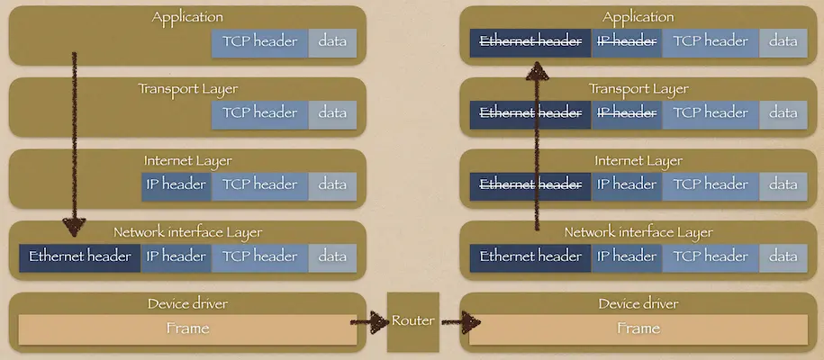 自定义 TCP Header