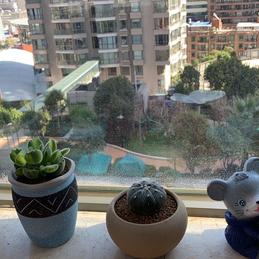 Desever于2020-01-18 00:55发布的图片