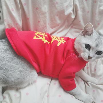 love_eagle于2020-01-18 12:12发布的图片