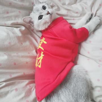 love_eagle于2020-01-18 12:12发布的图片