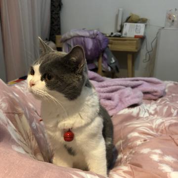顾林海于2020-01-19 07:59发布的图片