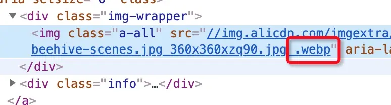 webp