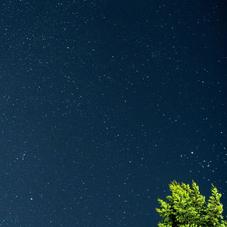 xxxL于2020-01-19 12:35发布的图片