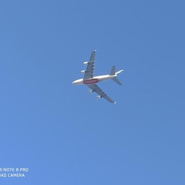 前行的乌龟于2020-01-19 18:04发布的图片