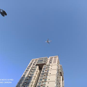 前行的乌龟于2020-01-19 18:04发布的图片