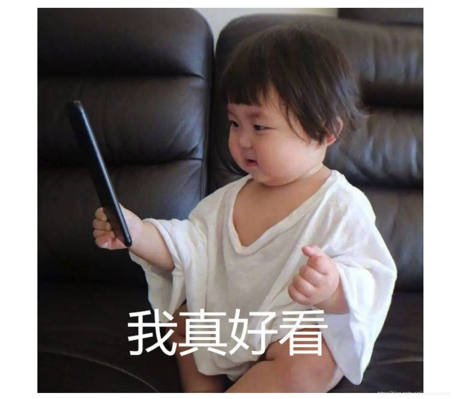 [外链图片转存失败,源站可能有防盗链机制,建议将图片保存下来直接上传(img-YlkufsM8-1577887891613)(http://www.justdojava.com/assets/images/2019/java/image_yjq/oom/%E6%88%91%E7%9C%9F%E5%A5%BD%E7%9C%8B.jpg)]